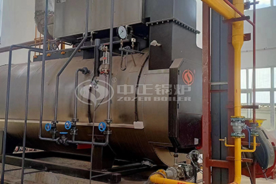 10 Tph Horizontal Steam Boiler for Canning Industry