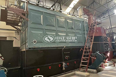 8 Ton Coal Boiler Paper Mill in Egypt