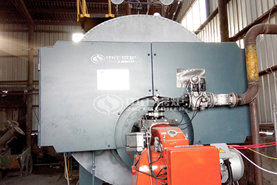 Steam Boiler 2 Tons for Drying Wood