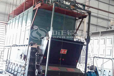 10 Ton Coal Boiler in Vietnam Textile Factory