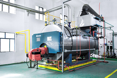 1 Ton Horizontal Steam Boiler for Spices Production Line