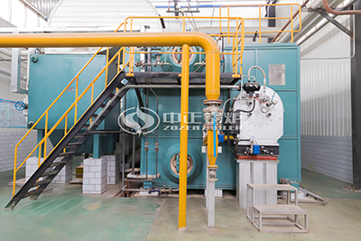 Steam Boiler in Malaysia Paper Mill