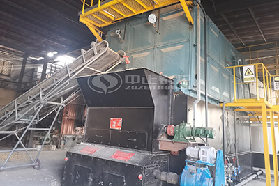 6 Ton Biomass Fired Steam Boiler for Building Materials