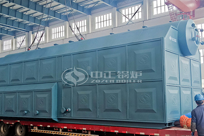 30t/h Palm Shell Biomass Fuel Power Generation Boiler