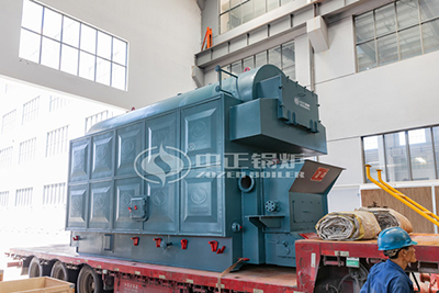 Biomass Steam Boiler Used in Ice Cream Factory