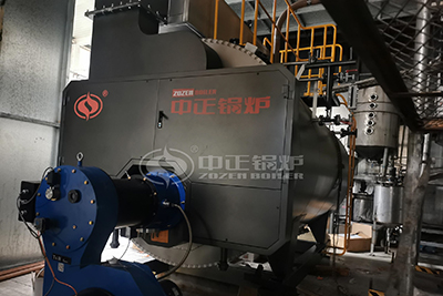 Gas Steam Boiler Capacity 6 Ton Per Hour