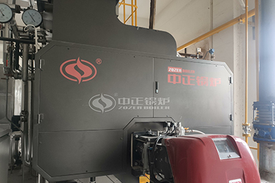 8t/h Low Pressure Gas Steam Boiler Parameter