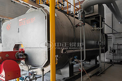 12t capacity gas steam boiler